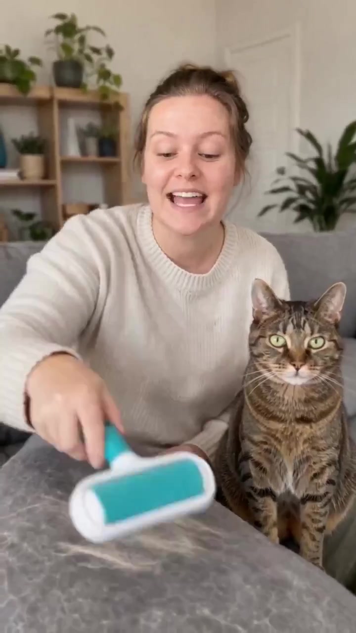 FurAway Pet Hair Roller, AI UGC ad example