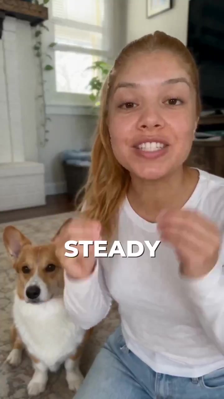 Zesty Paws Probiotic Bites, AI UGC ad example